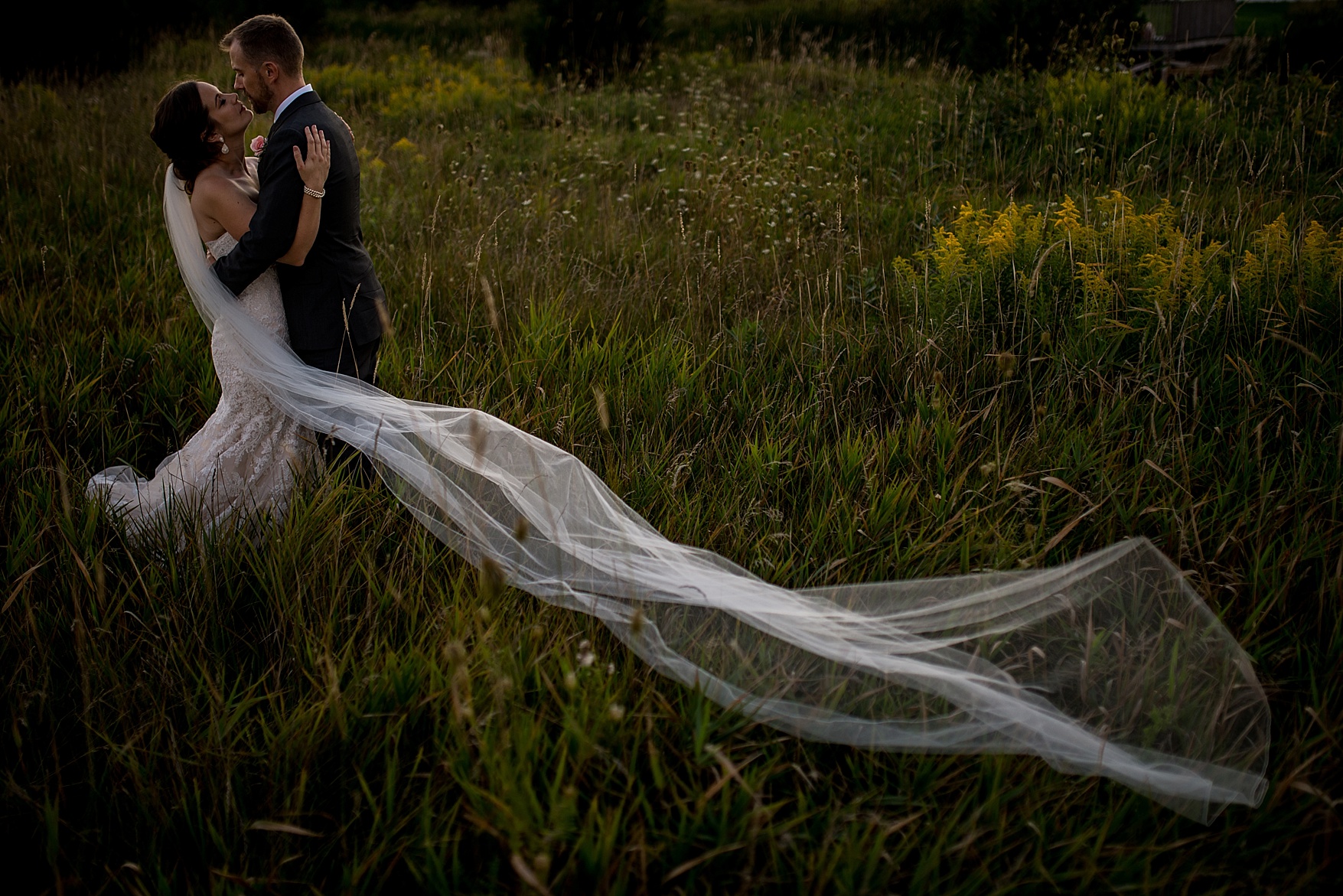 Prince Edward County wedding photographer